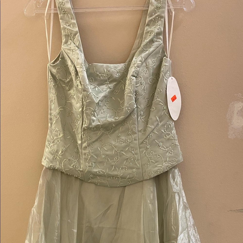 Silver gown